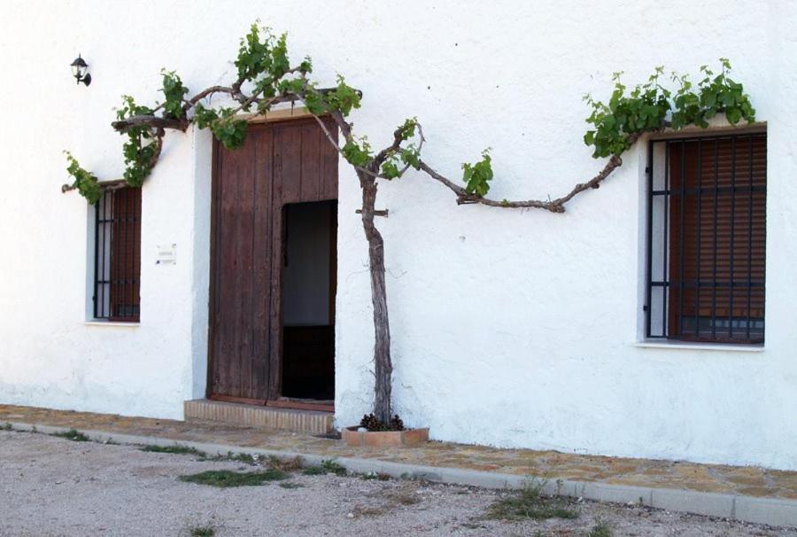 Casa Rural Casa Maxima Yecla Pokój zdjęcie